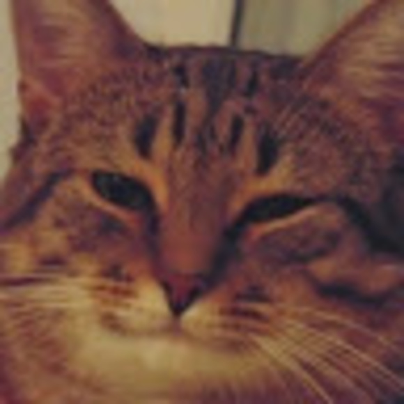 adorablegengar